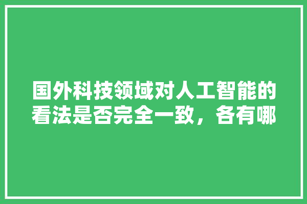 国外科技领域对人工智能的看法是否完全一致，各有哪些观点,人工智能国外发展现状