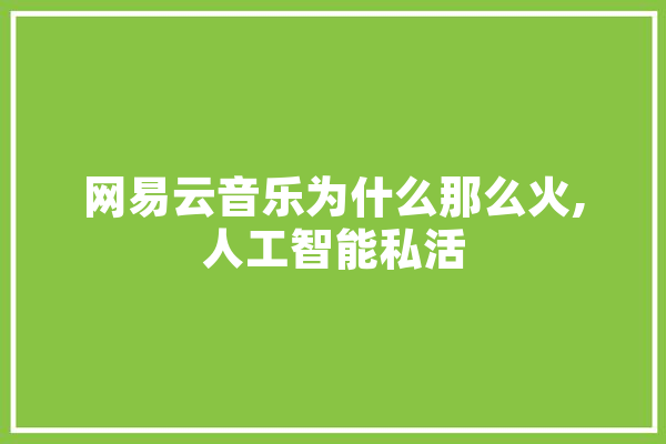 网易云音乐为什么那么火,人工智能私活