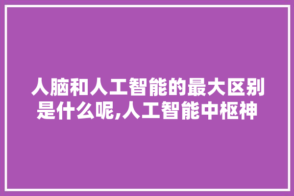 人脑和人工智能的最大区别是什么呢,人工智能中枢神经系统