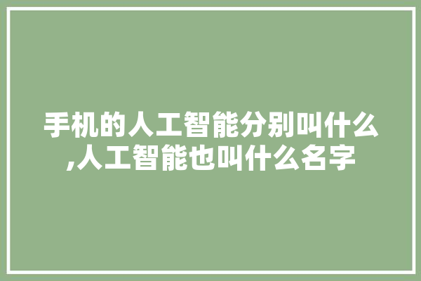手机的人工智能分别叫什么,人工智能也叫什么名字 AI简讯