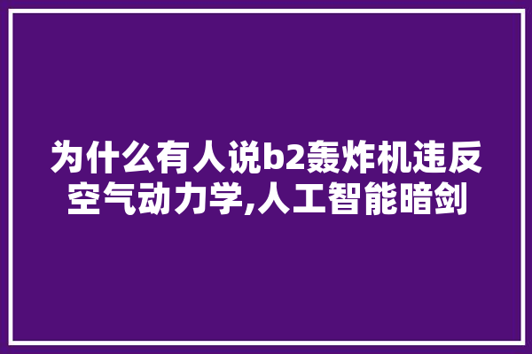 为什么有人说b2轰炸机违反空气动力学,人工智能暗剑怎么用 文字写作