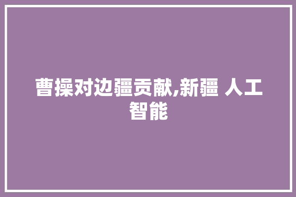 曹操对边疆贡献,新疆 人工智能