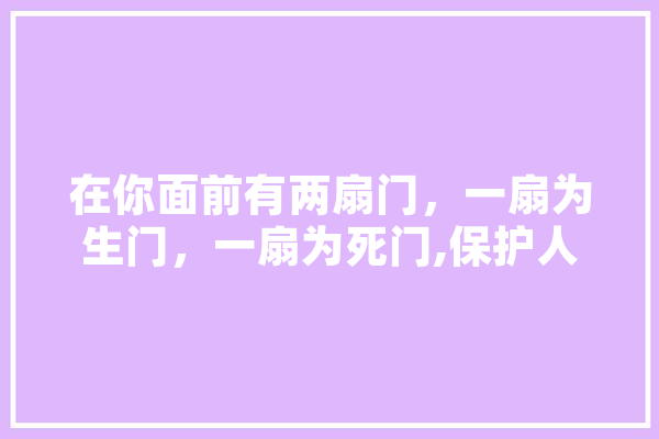 在你面前有两扇门，一扇为生门，一扇为死门,保护人工智能 科技快讯