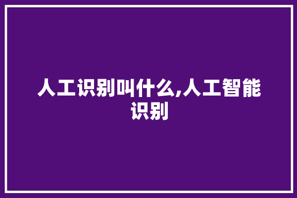 人工识别叫什么,人工智能识别 文字写作