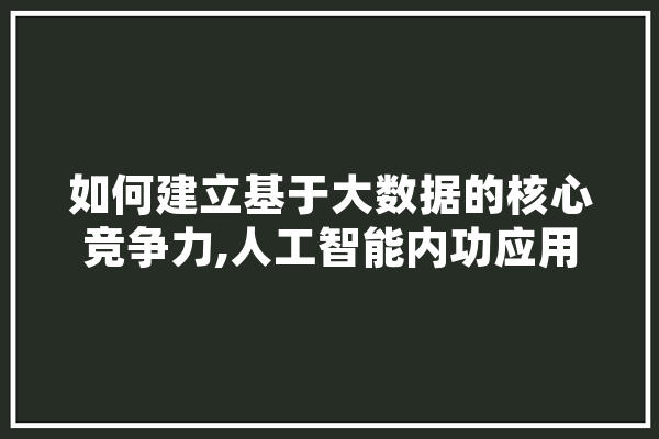 如何建立基于大数据的核心竞争力,人工智能内功应用领域 科技快讯