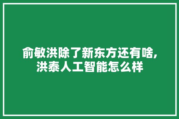 俞敏洪除了新东方还有啥,洪泰人工智能怎么样 云服务