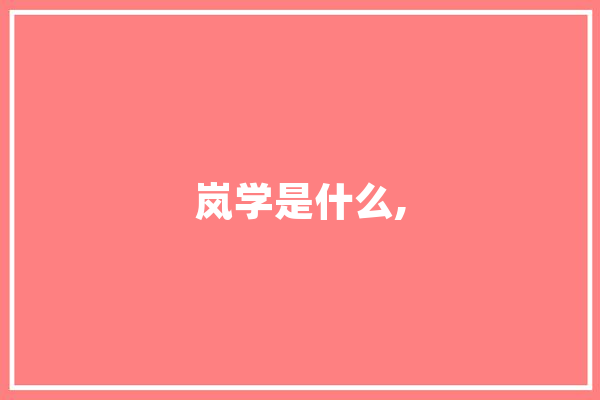 岚学是什么, AI简讯