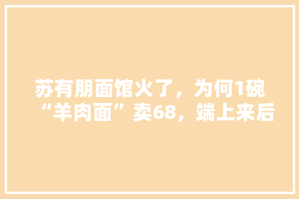 苏有朋面馆火了，为何1碗“羊肉面”卖68，端上来后竟想走人,任泉人工智能招聘 文字写作