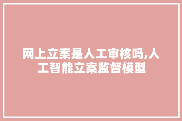 网上立案是人工审核吗,人工智能立案监督模型