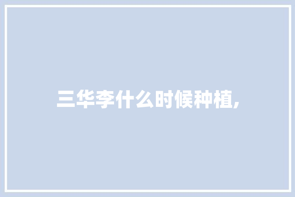 三华李什么时候种植,