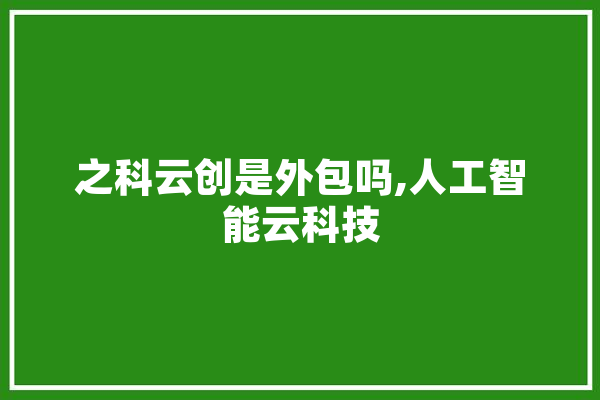 之科云创是外包吗,人工智能云科技