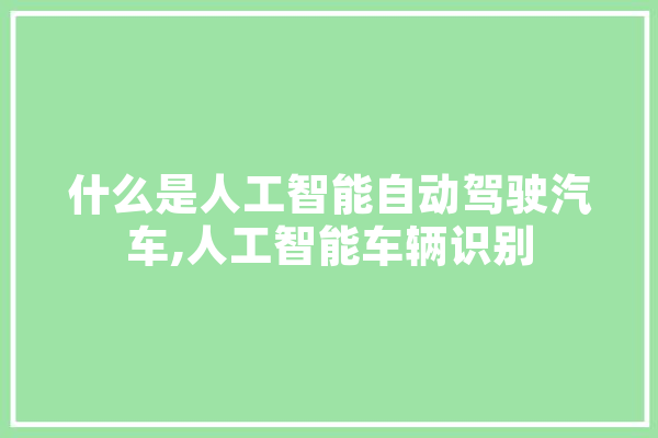 什么是人工智能自动驾驶汽车,人工智能车辆识别 绘影字幕