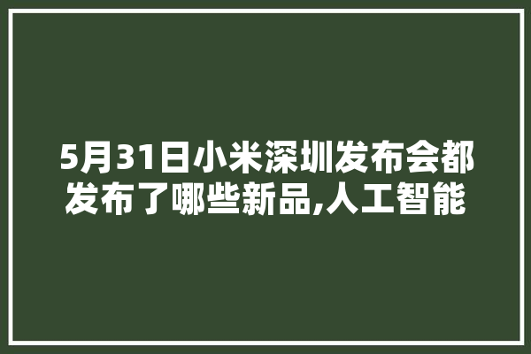5月31日小米深圳发布会都发布了哪些新品,人工智能5月行情怎么样 科技快讯