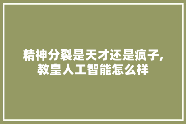 精神分裂是天才还是疯子,教皇人工智能怎么样 绘影字幕
