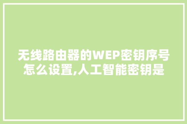 无线路由器的WEP密钥序号怎么设置,人工智能密钥是什么