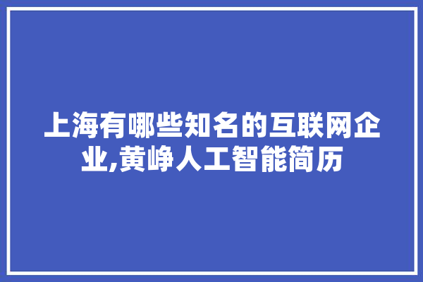 上海有哪些知名的互联网企业,黄峥人工智能简历