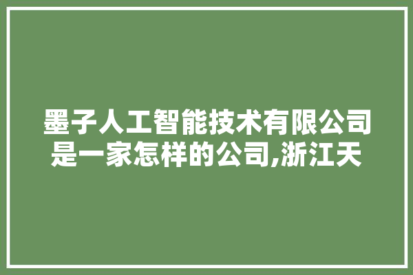 墨子人工智能技术有限公司是一家怎样的公司,浙江天安智能科技有限公司