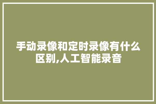 手动录像和定时录像有什么区别,人工智能录音