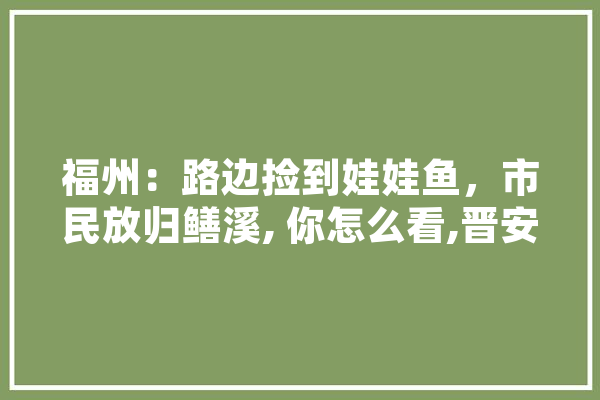 福州：路边捡到娃娃鱼，市民放归鳝溪, 你怎么看,晋安人工智能培训机构 AI快讯
