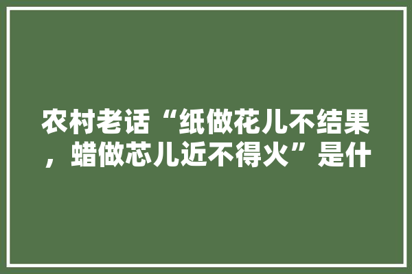 农村老话“纸做花儿不结果，蜡做芯儿近不得火”是什么意思？有道理吗,芯辰人工智能有限公司 科技快讯