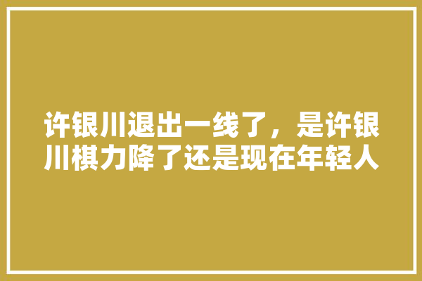许银川退出一线了，是许银川棋力降了还是现在年轻人太厉害,人工智能徐超简历