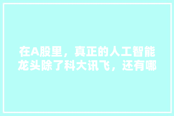 在A股里，真正的人工智能龙头除了科大讯飞，还有哪几个,人工智能领头羊 AI快讯