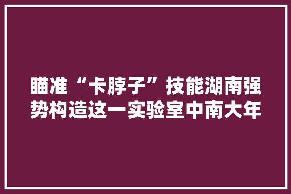 瞄准“卡脖子”技能湖南强势构造这一实验室中南大年夜学成“排头兵”！_人工智能_中南年夜学