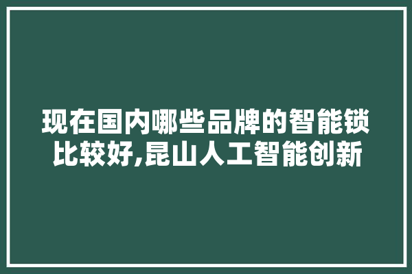 现在国内哪些品牌的智能锁比较好,昆山人工智能创新应用协会 AI快讯