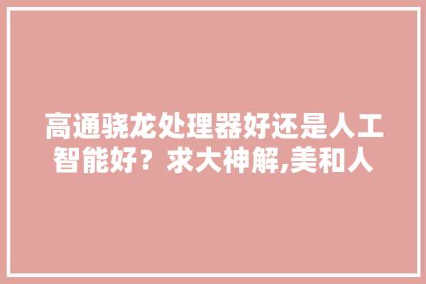 高通骁龙处理器好还是人工智能好？求大神解,美和人工智能的区别