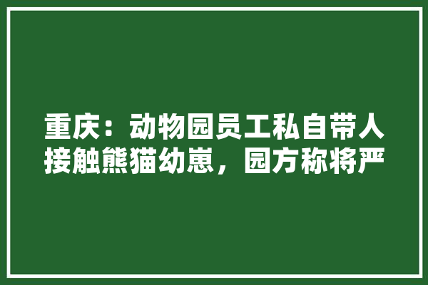 重庆：动物园员工私自带人接触熊猫幼崽，园方称将严肃处理, 你怎么看,杰瑞人工智能怎么样 智能助手
