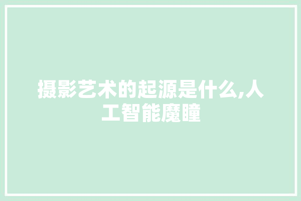 摄影艺术的起源是什么,人工智能魔瞳
