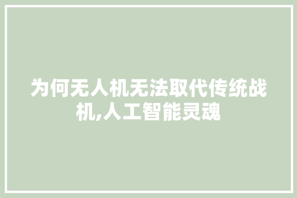 为何无人机无法取代传统战机,人工智能灵魂