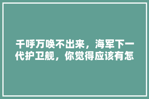 千呼万唤不出来，海军下一代护卫舰，你觉得应该有怎样的性能,人工智能船舶
