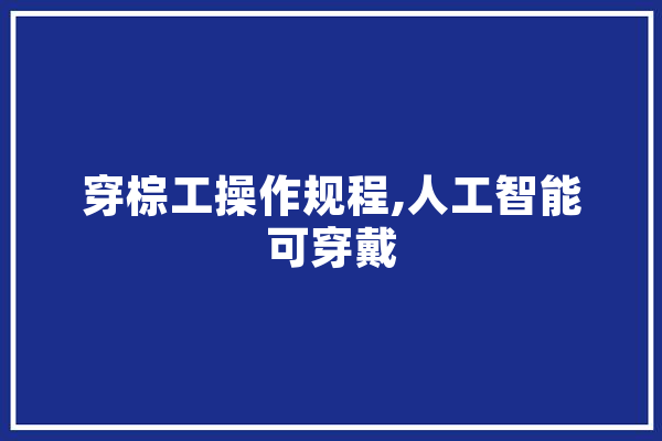 穿棕工操作规程,人工智能可穿戴 云服务