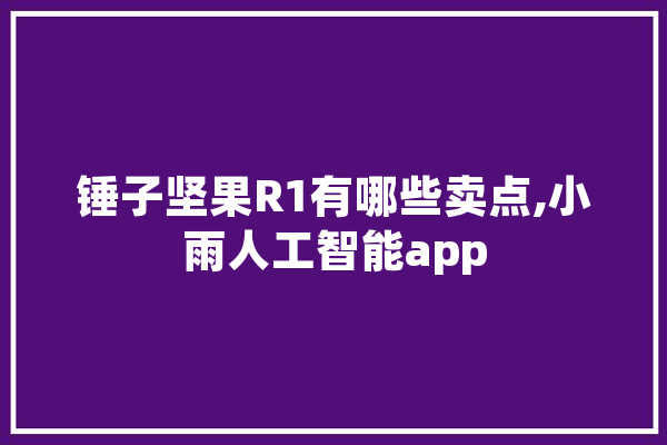 锤子坚果R1有哪些卖点,小雨人工智能app
