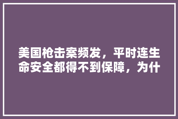 美国枪击案频发，平时连生命安全都得不到保障，为什么还有那么人要去美国？不怕死吗,人工智能枪击案例 绘影字幕