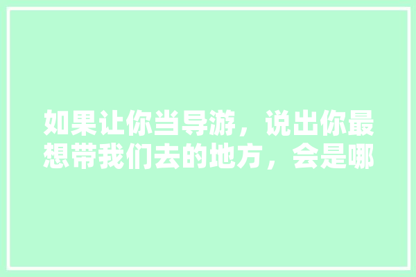 如果让你当导游，说出你最想带我们去的地方，会是哪,德钦人工智能怎么样