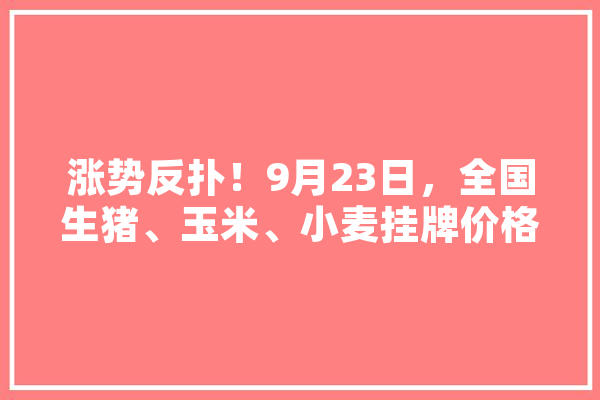涨势反扑！9月23日，全国生猪、玉米、小麦挂牌价格，发生了啥,反人工智能联盟