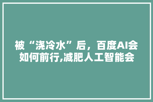 被“浇冷水”后，百度AI会如何前行,减肥人工智能会议广州2024 智能助手