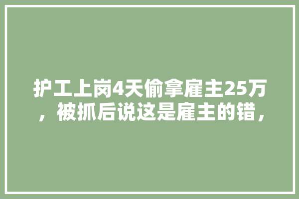 护工上岗4天偷拿雇主25万，被抓后说这是雇主的错，你怎么看,人工智能投钱骗局