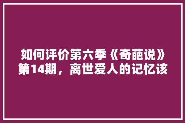 如何评价第六季《奇葩说》第14期，离世爱人的记忆该交给AI吗,人工智能奇葩说