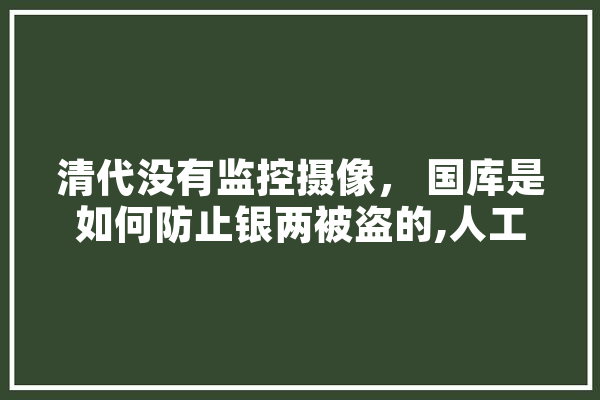 清代没有监控摄像， 国库是如何防止银两被盗的,人工智能年代