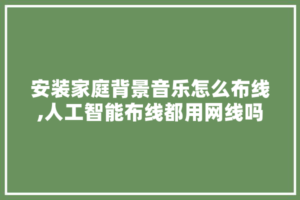 安装家庭背景音乐怎么布线,人工智能布线都用网线吗