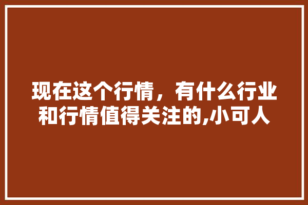 现在这个行情，有什么行业和行情值得关注的,小可人工智能科技有限公司