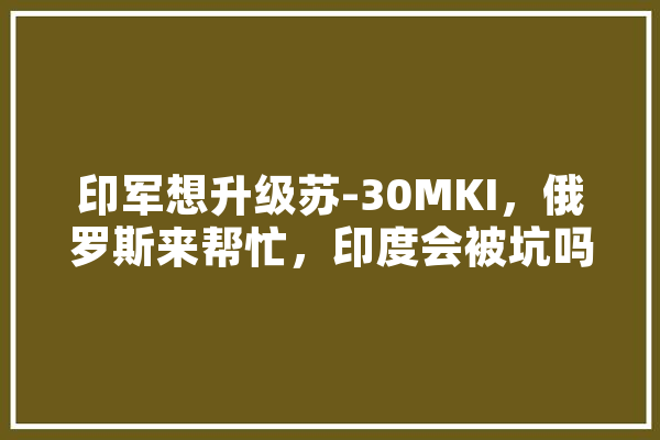 印军想升级苏-30MKI，俄罗斯来帮忙，印度会被坑吗,人工智能8核