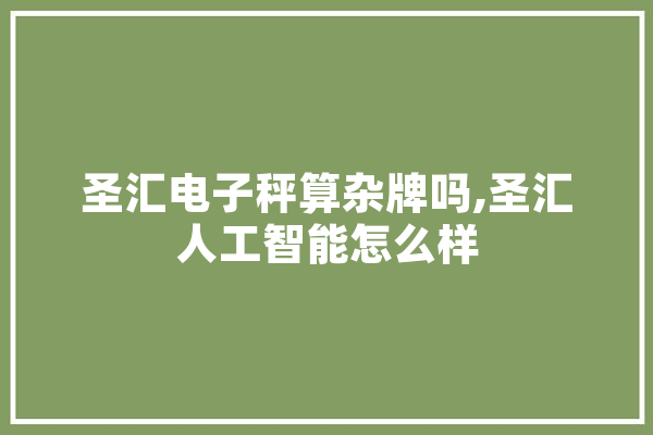 圣汇电子秤算杂牌吗,圣汇人工智能怎么样