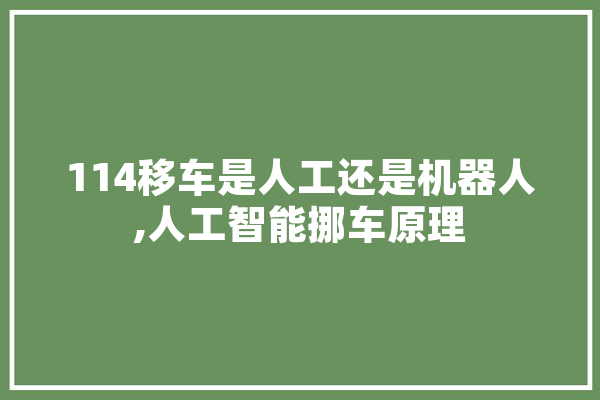 114移车是人工还是机器人,人工智能挪车原理