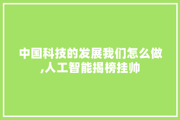 中国科技的发展我们怎么做,人工智能揭榜挂帅