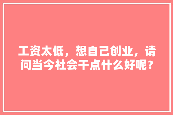 工资太低，想自己创业，请问当今社会干点什么好呢？有什么好的小项目推荐一下？谢谢,人工智能孙剑