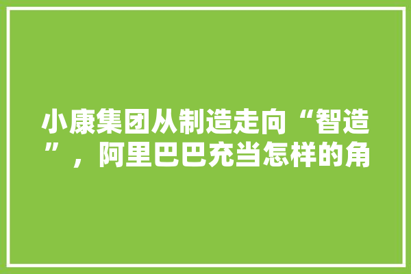 小康集团从制造走向“智造”，阿里巴巴充当怎样的角色？你怎么看,观致人工智能怎么样